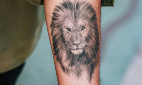 Tätowierter Arm mit Löwenkopf als Motiv